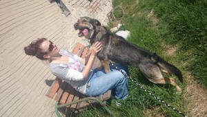 11159469_430440730459012_3096143134720777956_n