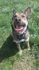 15609_430440777125674_5654394282660393267_n