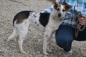 18119_424139241089161_3035302688987620151_n