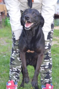 1907439_431188703717548_6059117929832896265_n