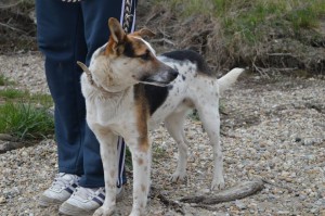 22414_424139414422477_4438047866252455380_n