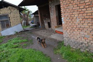 18199403_753453184824430_3203292490610818161_n