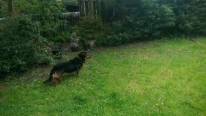 18301157_759027380933677_1734267217901733917_n