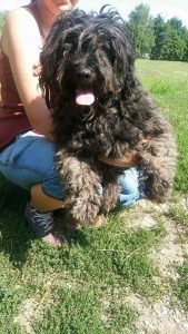 21743147_830236703812744_7835428827536966292_n