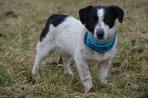 26992616_898533486983065_467098305372524076_n