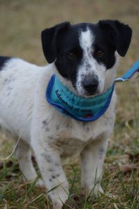 26993984_898533470316400_3932126144272521423_n