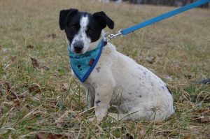 27072330_898533923649688_3753512083824373171_n