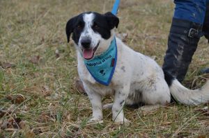 27336278_898534206982993_7596116983010131009_n