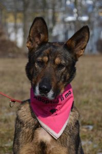 27751913_909416952561385_317957600789332788_n