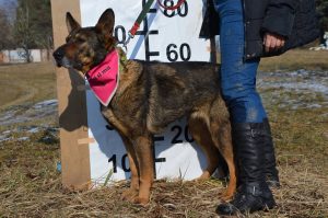 27752222_909417075894706_2612160208707472858_n