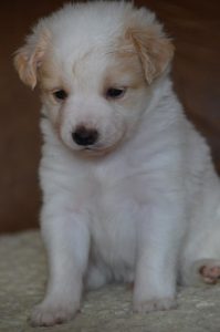 27540064_904635029706244_1749745989110809769_n