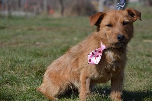 29511118_932224410280639_5211390463170661607_n