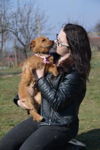 29511313_932224240280656_6293841917259729280_n