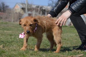 29511612_932224360280644_911497627581979181_n