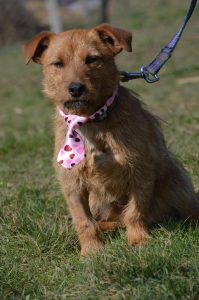 29594909_932224550280625_5758372548217290715_n