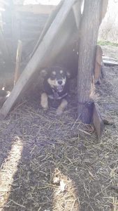 30414945_941103996059347_3904249014366765056_n