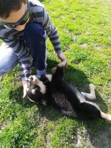 30442598_940901036079643_1863895882387161088_n