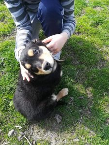 30515791_940900932746320_8415668046311456768_n