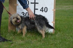 30581933_942533615916385_485846747768160256_n