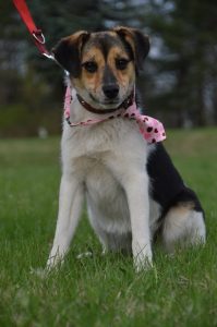 30582371_942535252582888_7920202590434885632_n