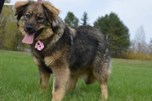 30629137_942538065915940_7587078664894808064_n