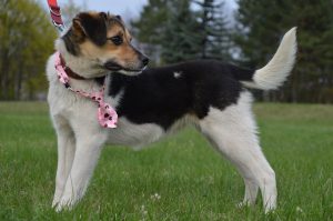 30629153_942535205916226_6015630279673118720_n