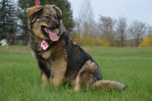 30629779_942538989249181_6773016744068907008_n