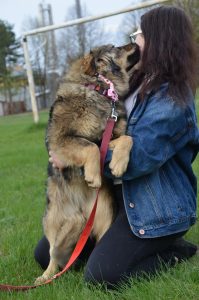 30689036_942538402582573_1004609270194372608_n