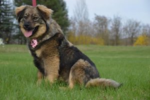 30689162_942539132582500_6391109940030734336_n