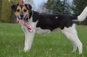 30698014_942534872582926_4047705191250657280_n