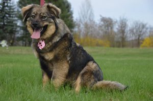 30698175_942538942582519_2822714272855883776_n