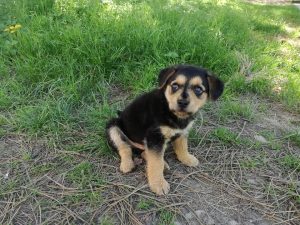 30710646_947367668766313_4670928778673782784_n