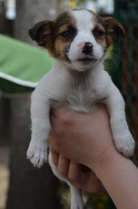 30711987_945679628935117_2881559843116679168_n