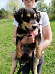 30712660_943865579116522_2171626277646106624_n