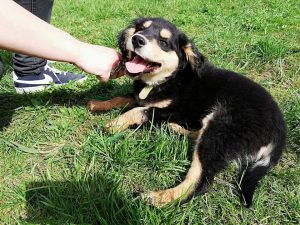 30715423_943865502449863_3857952909048152064_n