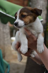 30740754_945679602268453_8486893911342579712_n