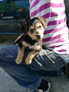 30742615_947368008766279_8360134999642472448_n