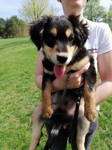 30742772_943865529116527_4455833281732018176_n