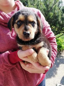 30762675_947368058766274_9044015886200995840_n