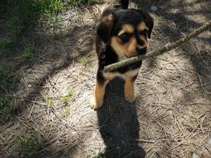 31084237_947367968766283_6965069728582729728_n