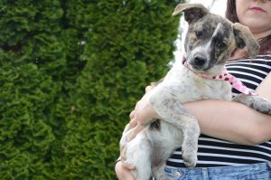 31131561_949579581878455_6526548121642598400_n