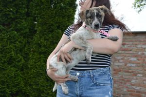 31301831_949579625211784_574513392656580608_n