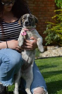 31353761_949579758545104_3717119307914674176_n