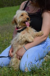 31697439_953449454824801_1706108284399779840_n