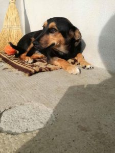 39311315_1048778271958585_3941322789813747712_n