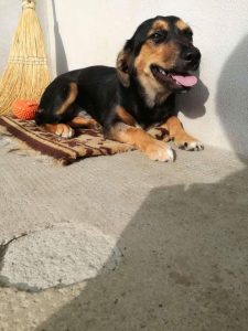 39403736_1048778221958590_8493837718114009088_n