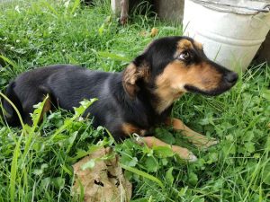 39453286_1048778315291914_2338835577886998528_n