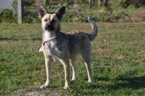 43207478_1080863538750058_1642576677185781760_n