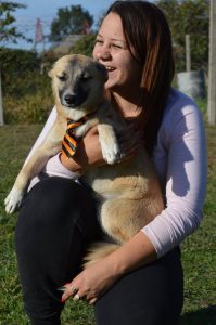 43215738_1080861572083588_7412179393214152704_n