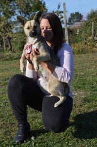 43223414_1080863632083382_7966059058606112768_n